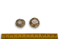 F 03533 01
<br/>
<br/>
<em></em>